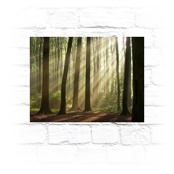 Forests Metal Wall Art