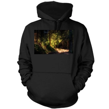 Forests Mens Pullover Hoodie Sweatshirt