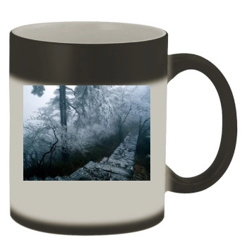 Forests Color Changing Mug