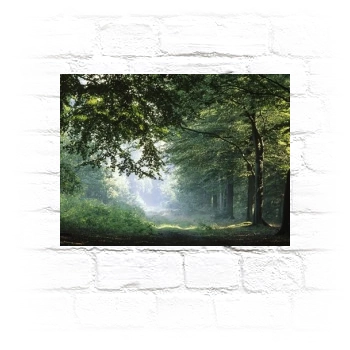 Forests Metal Wall Art