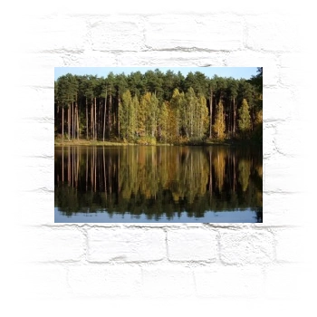 Forests Metal Wall Art