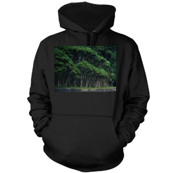 Forests Mens Pullover Hoodie Sweatshirt