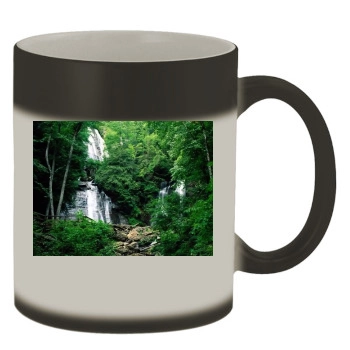 Forests Color Changing Mug