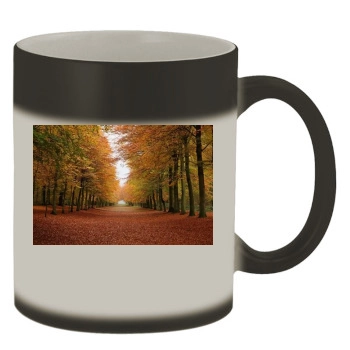 Forests Color Changing Mug