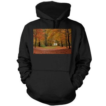 Forests Mens Pullover Hoodie Sweatshirt