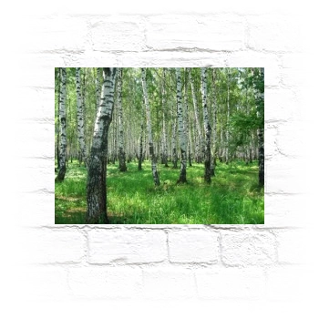 Forests Metal Wall Art