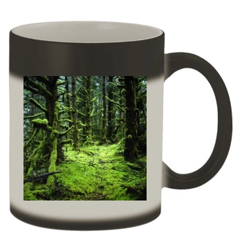 Forests Color Changing Mug