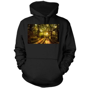 Forests Mens Pullover Hoodie Sweatshirt