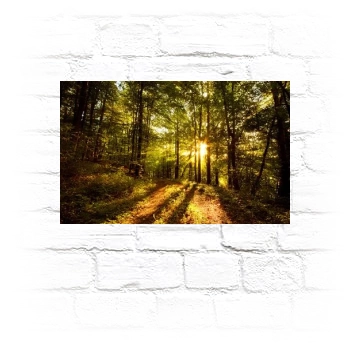 Forests Metal Wall Art