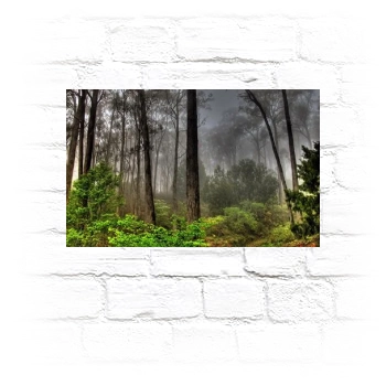 Forests Metal Wall Art