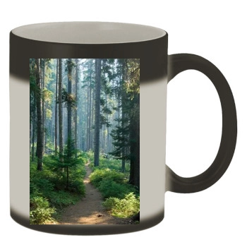 Forests Color Changing Mug