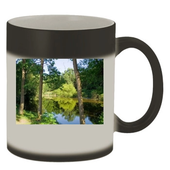 Forests Color Changing Mug