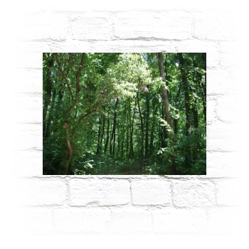 Forests Metal Wall Art