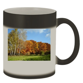 Forests Color Changing Mug