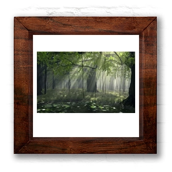 Forests 6x6