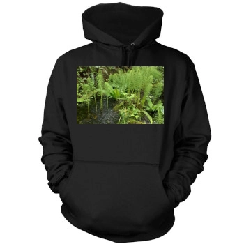 Forests Mens Pullover Hoodie Sweatshirt