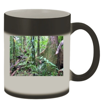 Forests Color Changing Mug