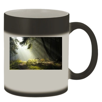 Forests Color Changing Mug