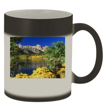 Forests Color Changing Mug