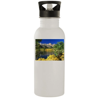 Forests Stainless Steel Water Bottle