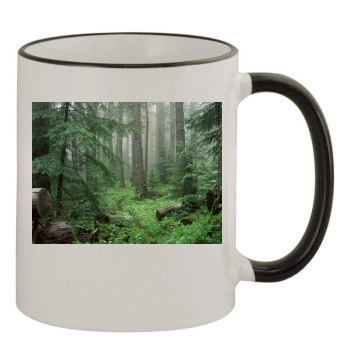 Forests 11oz Colored Rim & Handle Mug