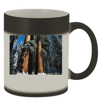 Forests Color Changing Mug