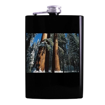 Forests Hip Flask