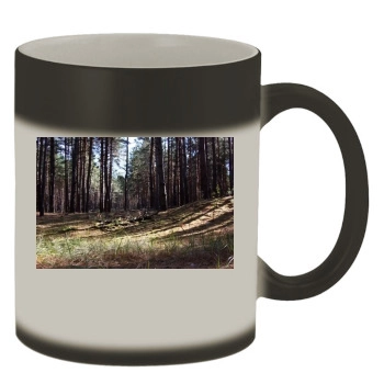 Forests Color Changing Mug