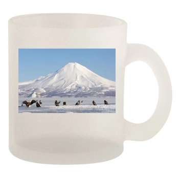 Volcanoes 10oz Frosted Mug