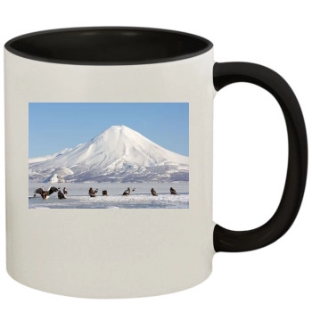 Volcanoes 11oz Colored Inner & Handle Mug