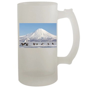 Volcanoes 16oz Frosted Beer Stein