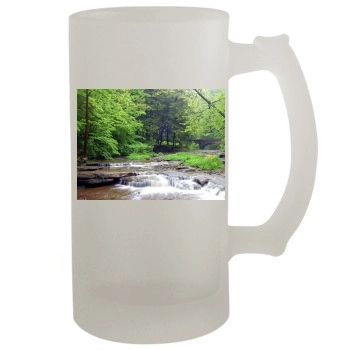 Waterfalls 16oz Frosted Beer Stein