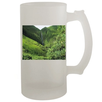 Waterfalls 16oz Frosted Beer Stein