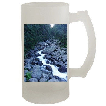 Waterfalls 16oz Frosted Beer Stein