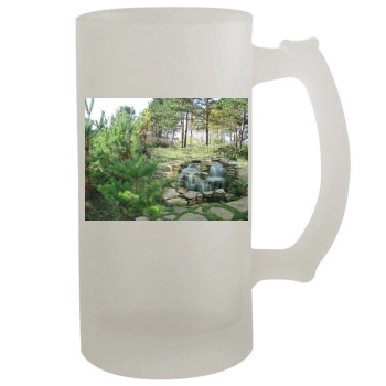 Waterfalls 16oz Frosted Beer Stein