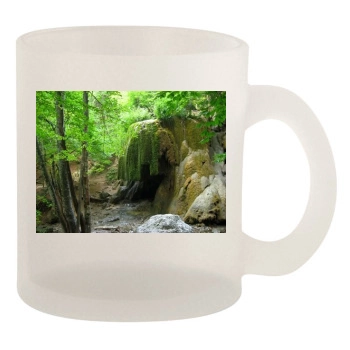 Waterfalls 10oz Frosted Mug