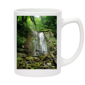 Waterfalls 14oz White Statesman Mug