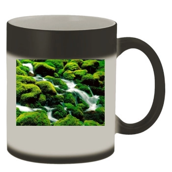 Waterfalls Color Changing Mug