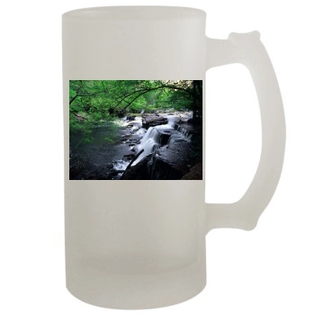 Waterfalls 16oz Frosted Beer Stein