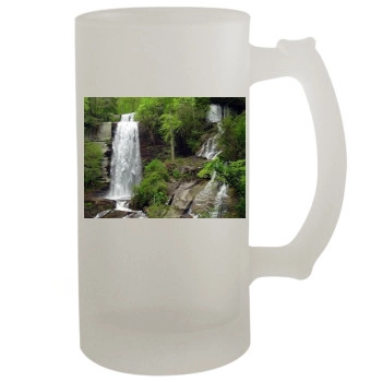 Waterfalls 16oz Frosted Beer Stein