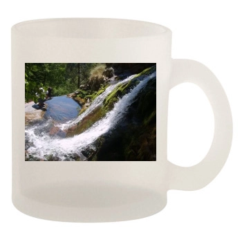 Waterfalls 10oz Frosted Mug