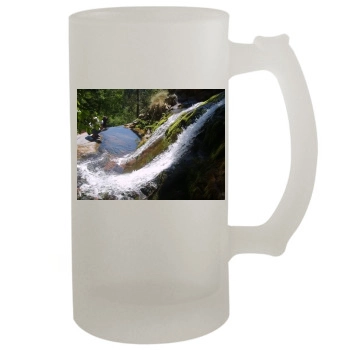 Waterfalls 16oz Frosted Beer Stein