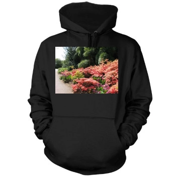 Botanical Gardens Mens Pullover Hoodie Sweatshirt