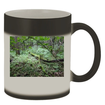 Botanical Gardens Color Changing Mug