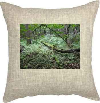 Botanical Gardens Pillow