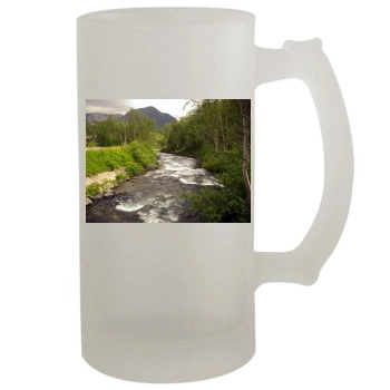 Botanical Gardens 16oz Frosted Beer Stein