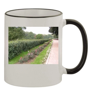 Botanical Gardens 11oz Colored Rim & Handle Mug