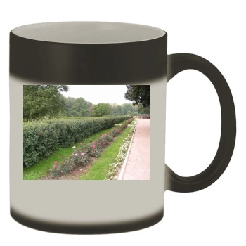 Botanical Gardens Color Changing Mug