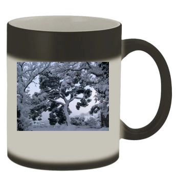 Botanical Gardens Color Changing Mug