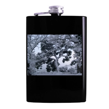 Botanical Gardens Hip Flask